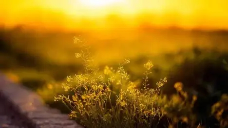 IG战队VS T1：电竞焦点大战，收视率直冲云霄！